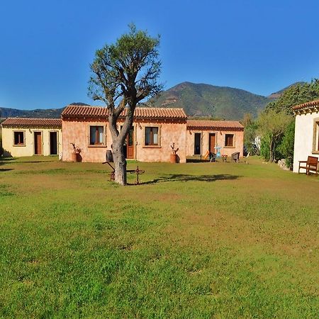B&B Pubulos Olbia Exteriér fotografie