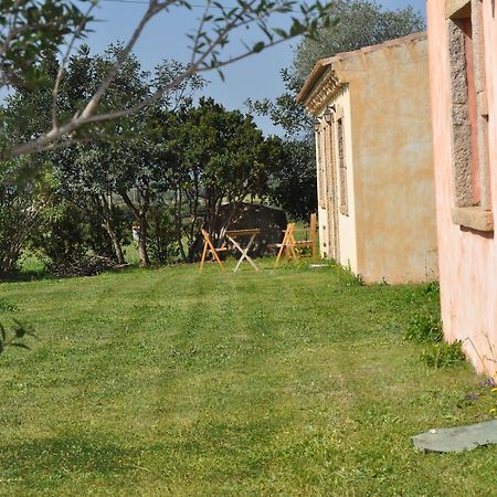 B&B Pubulos Olbia Exteriér fotografie